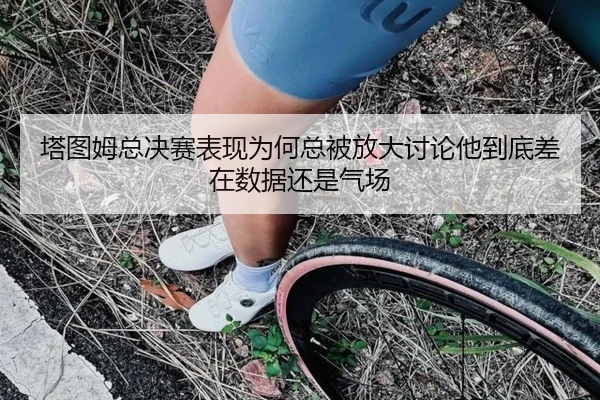 塔图姆总决赛表现为何总被放大讨论他到底差在数据还是气场